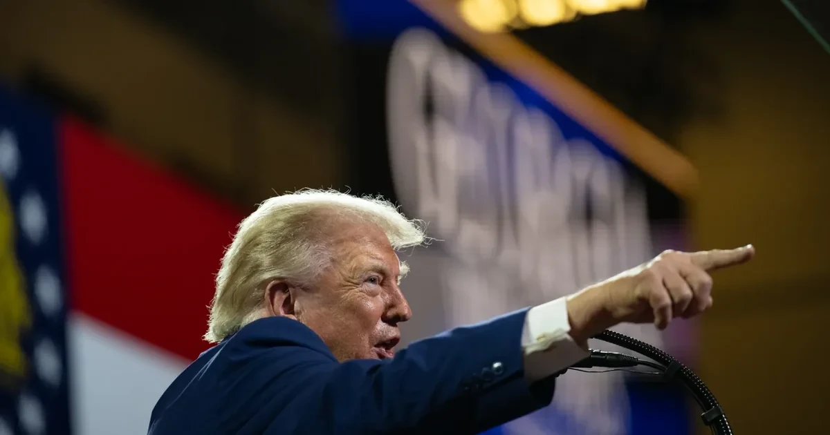 Трамп привітав AfD абревіатурою MGGA: що відомо про вибори у Саксонії-Ангальт